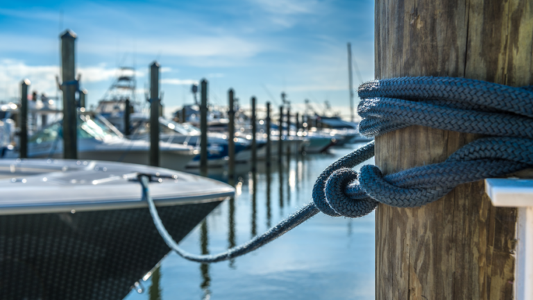 Marine Inspection